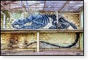 HDR graffiti streetart street-art street art skeleton factory urbex roa klaas van der linden kunst kunstwerk decay verlaten lost place places abandoned